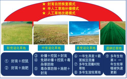 西北內陸區極端環境生態系統修復理論與技術成果推介